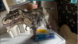 ar玩具升级方案