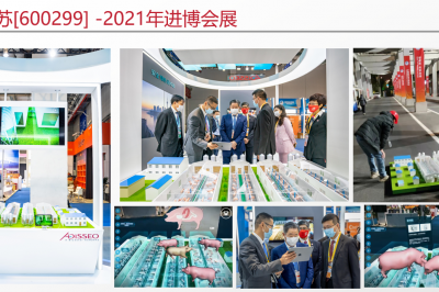 2021年明星项目总结