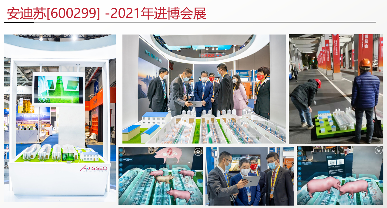 2021年明星项目总结